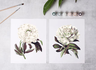 Peony Blossoms Paint-By-Numbers Kit