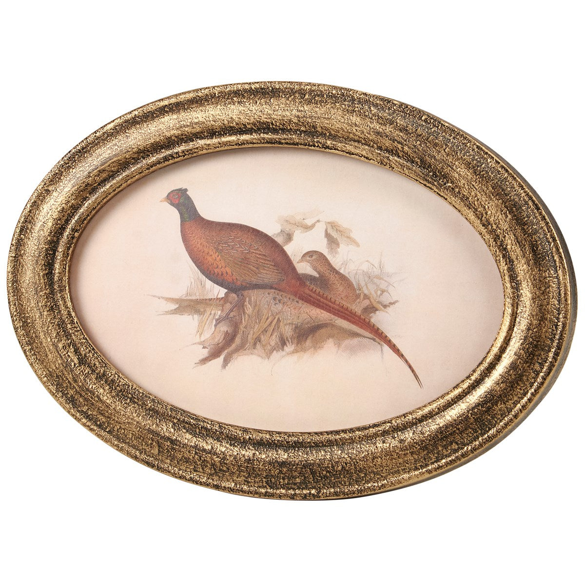 Framed Pheasant Print