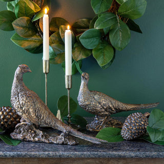 The Pheasant Pair - More Coming Soon