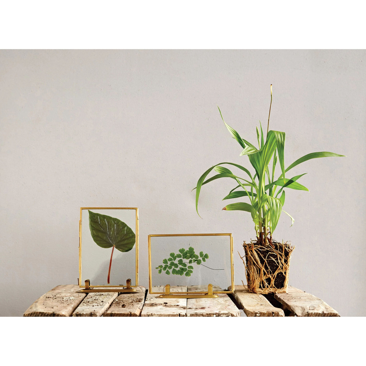 Brass and Glass Frame - Choose Style