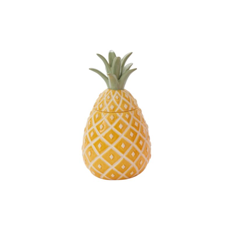 Pineapple Canister