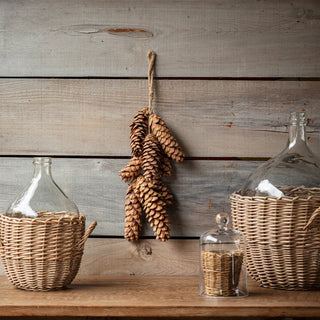 The Pinecone Bunch