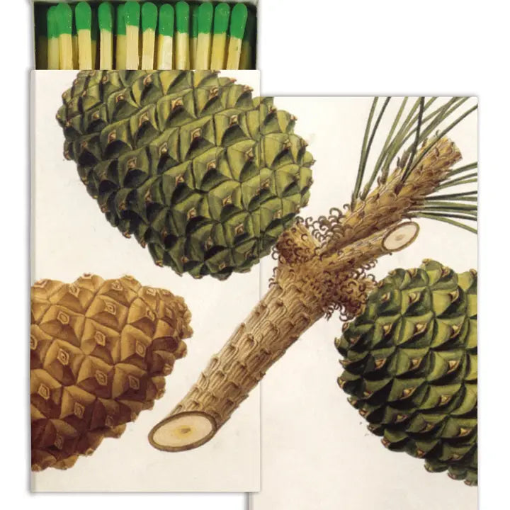 Pinecone Design Safety Matches