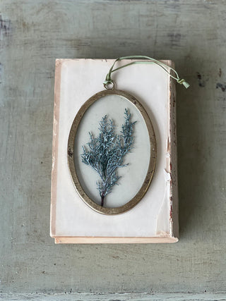 Pressed Pine Ornament