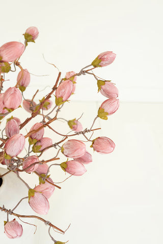 48" Pink Pod Botanica Stem - More Coming Soon