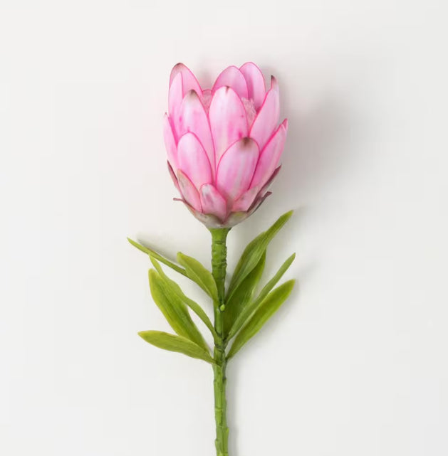 15" Dark Pink Protea Stem