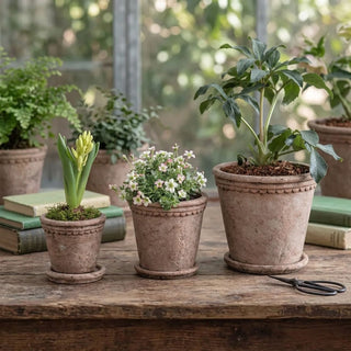 The Milston Planter with Saucer - Choose Size