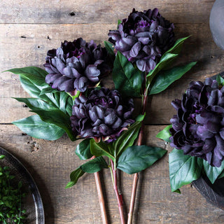 Plum Peony