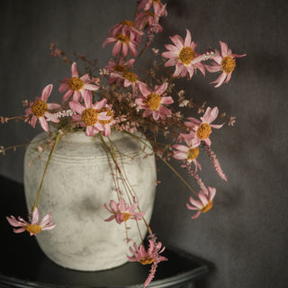 22.5" Rouge Wildflower Spray