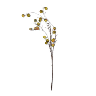 52-Inch Green Poha Pod Branch