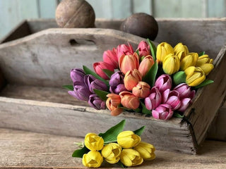 Poppet Tulip Bundle - Choose Color