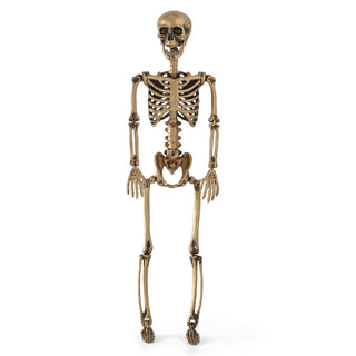 36" Gold Posable Skeleton