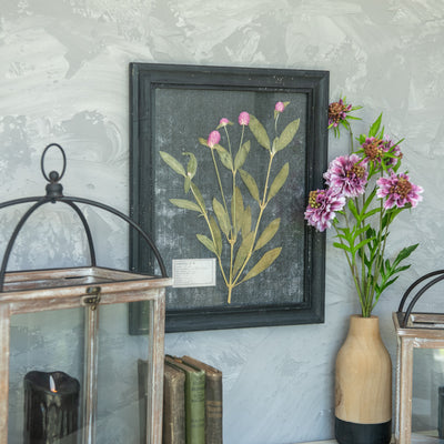 Pressed Pink Flower In Frame Wall Decor