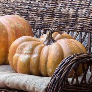 Pretty Mama Lifelike Pumpkin