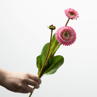 17" Pink Primrose Stem