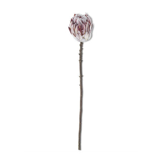 Flocked Purple Protea Stem