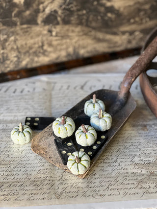 Copperfield Pumpkins - Green