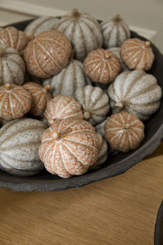 Pumpkin Patch Set - Choose Style