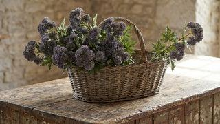 28" Purple Sedum Stem