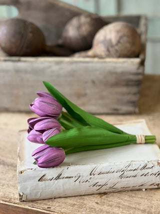 Poppet Tulip Bundle - Choose Color