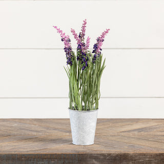14.75" Potted Lavender