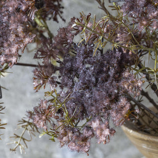 31" Purple Queen Anne's Lace Stem