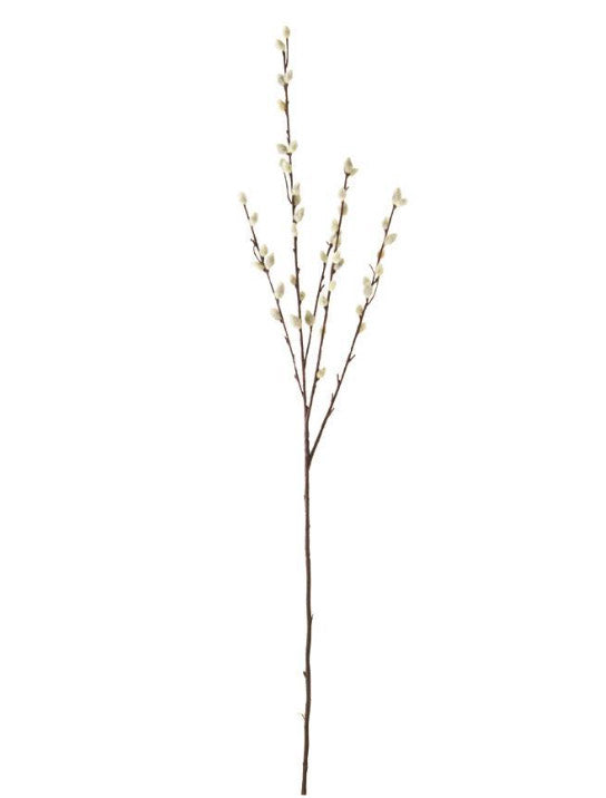 31" Pussy Willow Stem