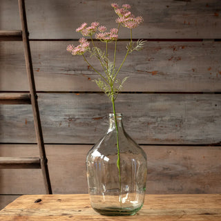 32" Wild Queen Anne's Lace Stem - Blush