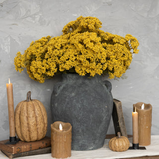 16" Gold Queen Anne Lace Bush