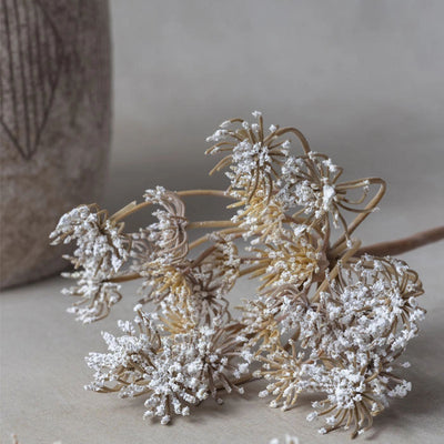 28" Queen Anne's Lace Stem