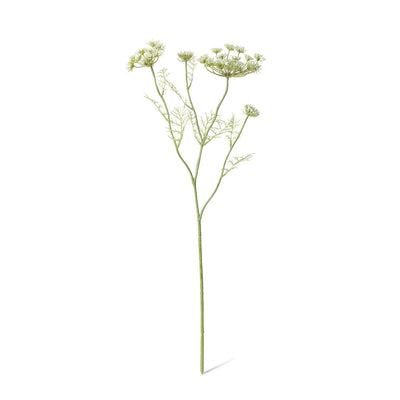 Queen Anne's Lace Stem