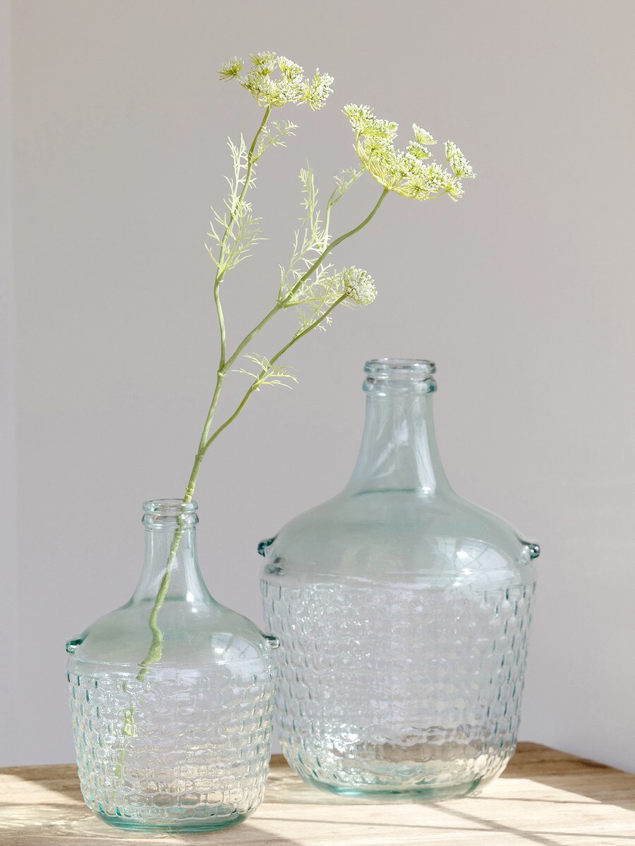 Queen Anne's Lace Stem