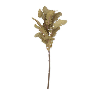 18" Ragwort Stem