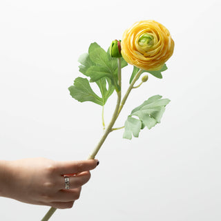 19" Ranunculus Stem - Yellow