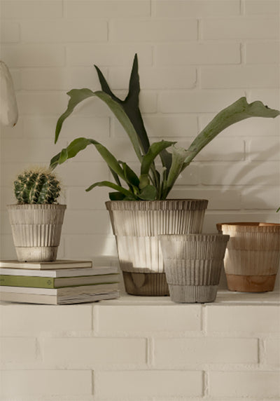 Bergs Potter Atlas Raw Grey Pot - Choose Size