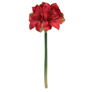 16" Petite Amaryllis Red Stem