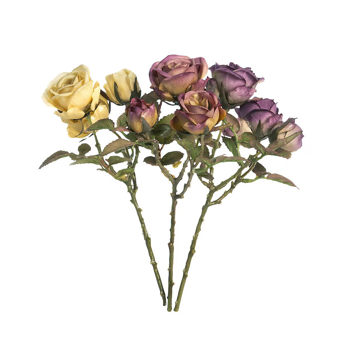 Dried Climbing Rose Cutting Stem - Choose Color