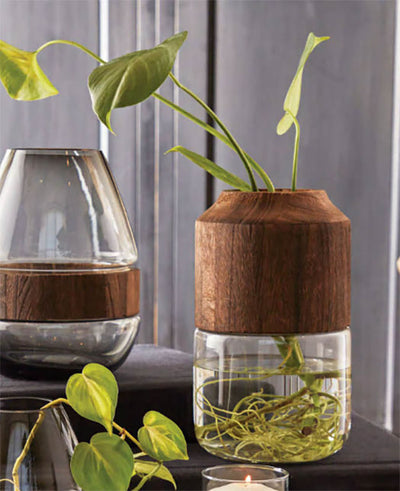 Wooden Topped Vase - Choose Size