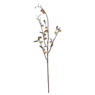 48" Rose Hip Dappled Stem