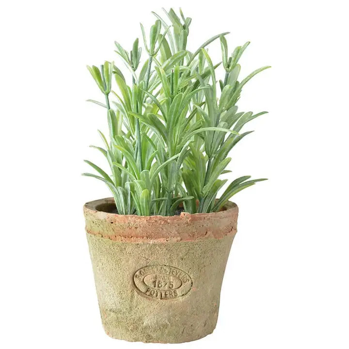 Herb Pot with Rosemary