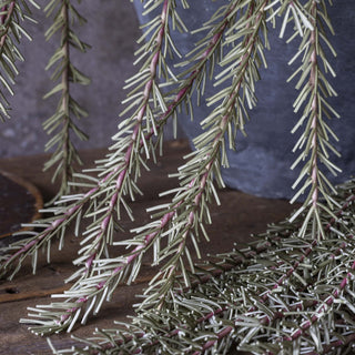 55" Trailing Rosemary Stem
