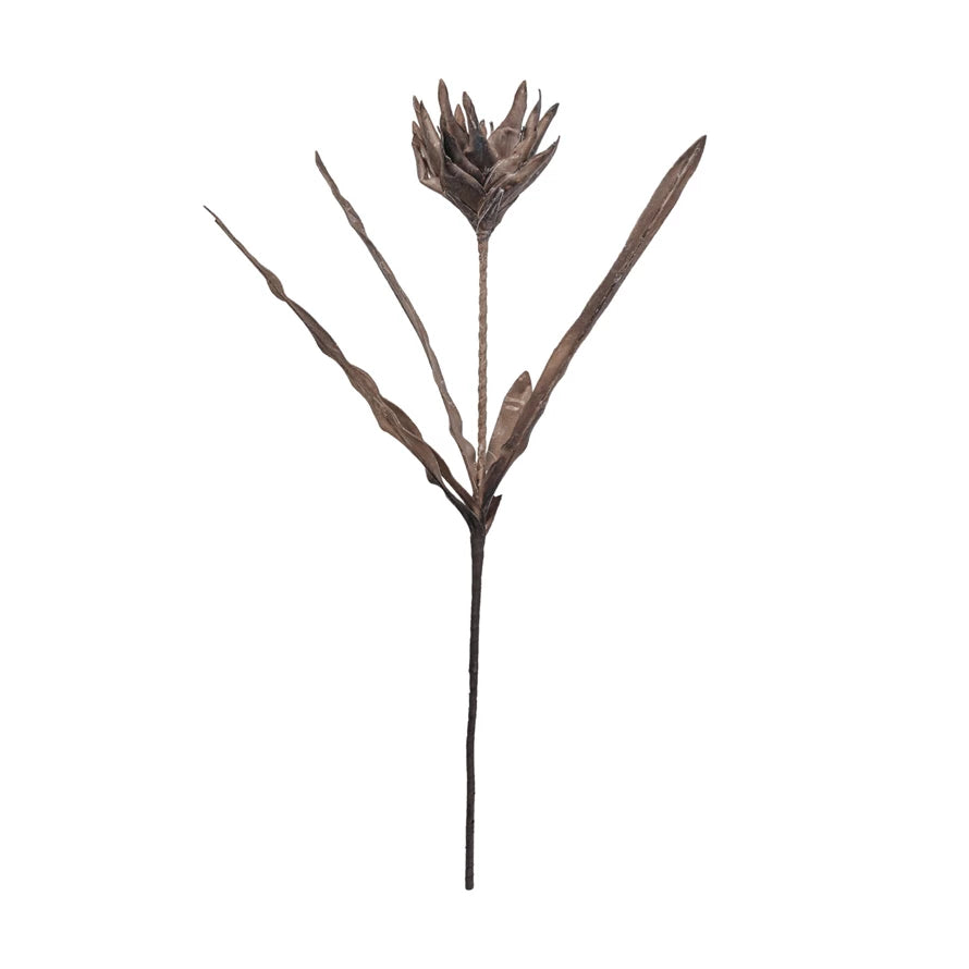 40" Rustic Protea - Brown