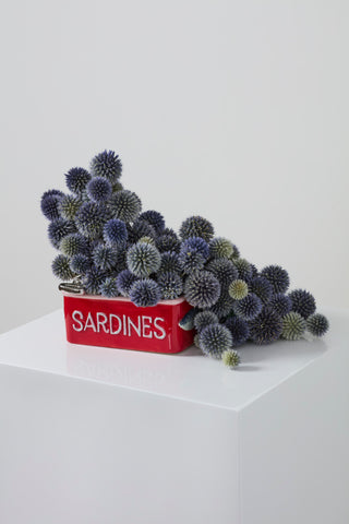 Ceramic Sardine Tin Planter