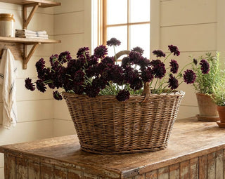 30" Midnight Scabiosa Stem
