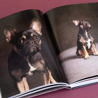 Year of the Dogs Book