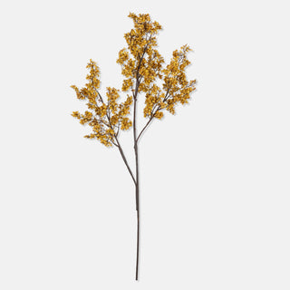 33.5" Winter Sedge Stem - Saffron