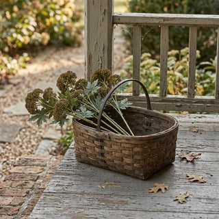 28" Dark Green Sedum Stem