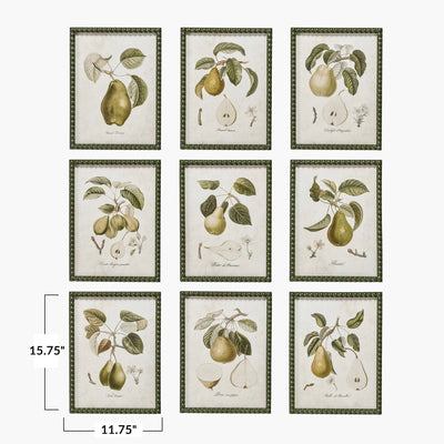 Set of 9 Vintage Style Pear Prints in Green Hobnail Frame