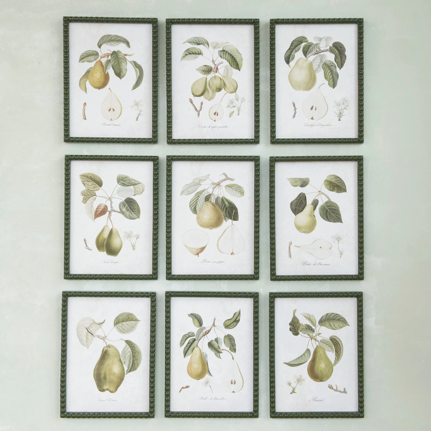 Set of 9 Vintage Style Pear Prints in Green Hobnail Frame