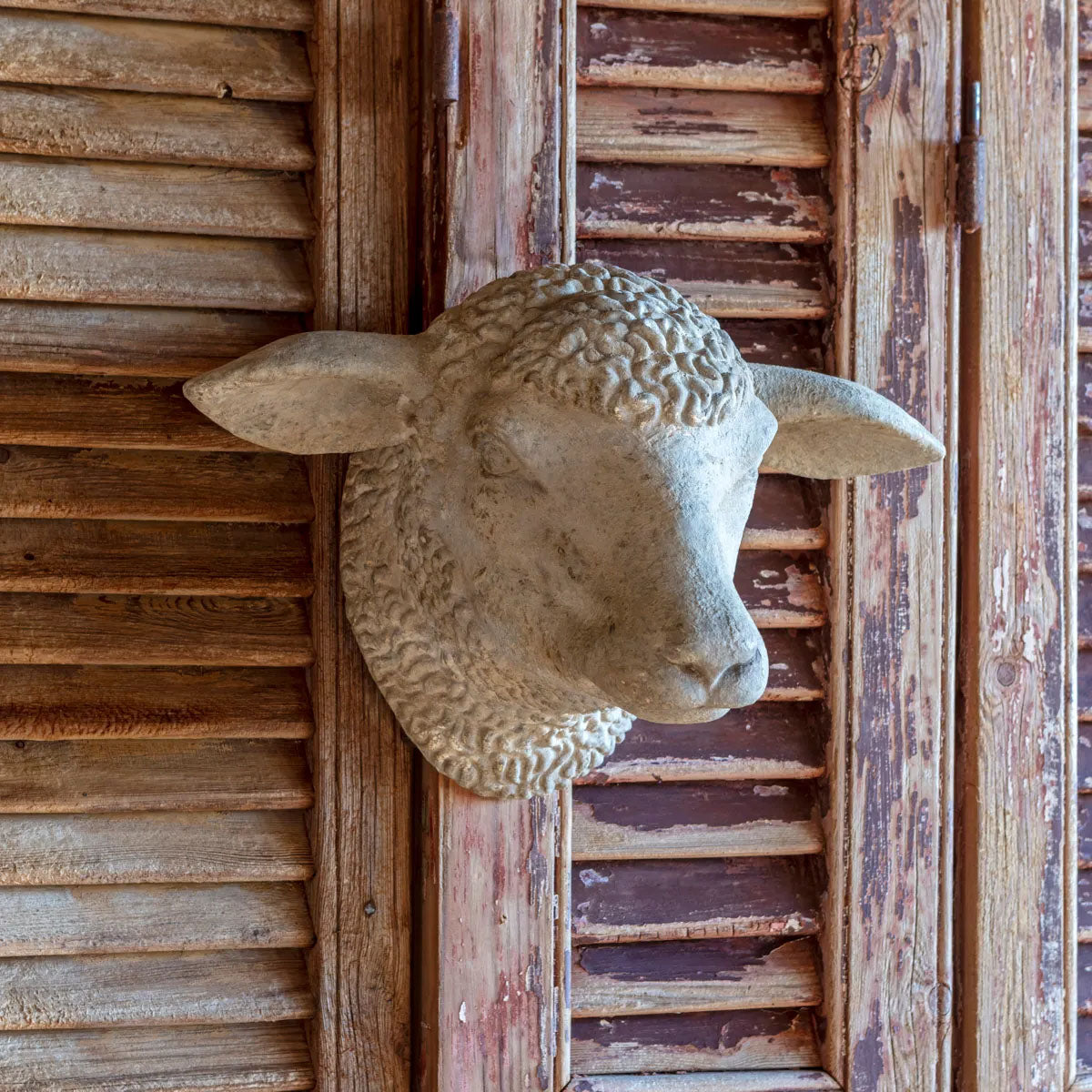 Weathered Sheep's Head Wall Decor
